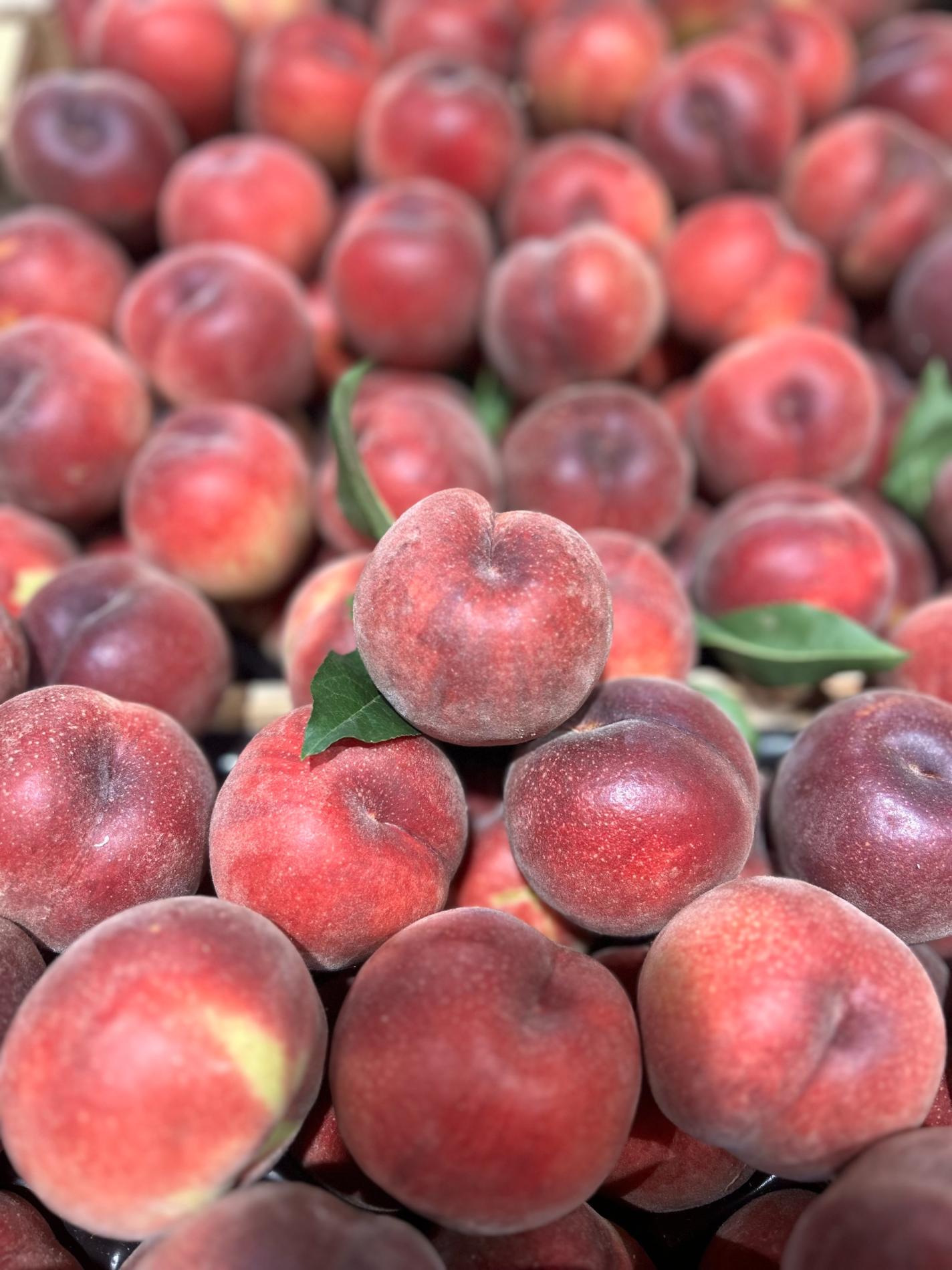 Arrivage des Premi&egrave;res P&ecirc;ches PRODUCTEUR !!