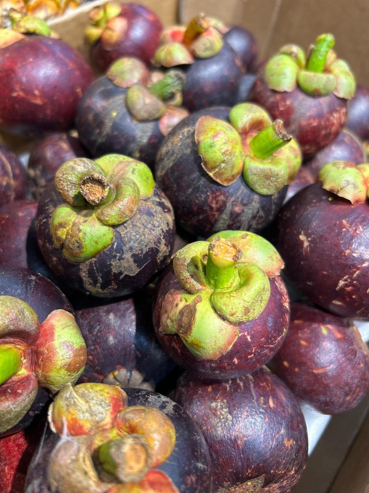 Arrivage de Litchis et Mangoustan !!