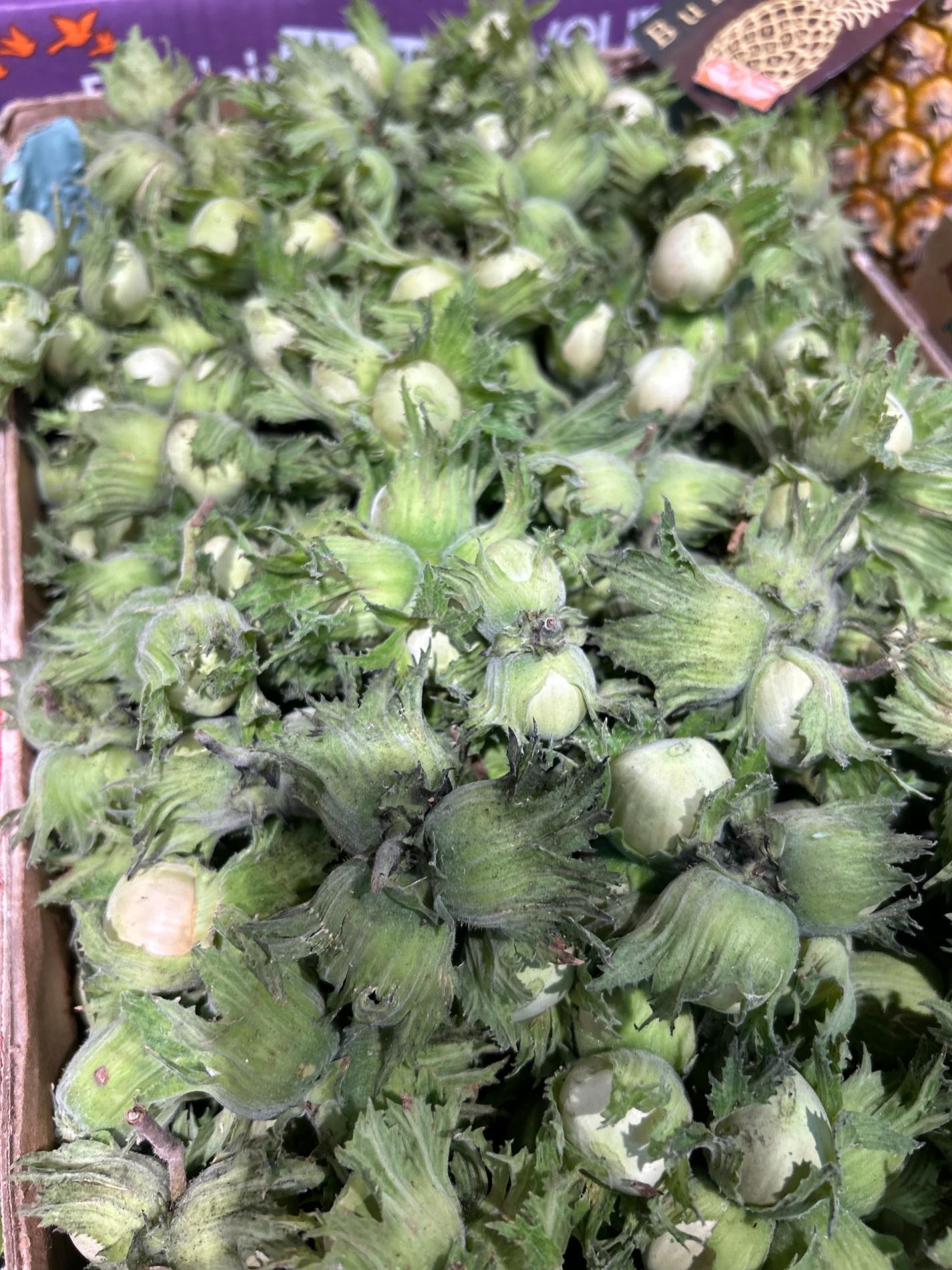 Arrivage de Noisettes Fraiches Fran&ccedil;aises !!