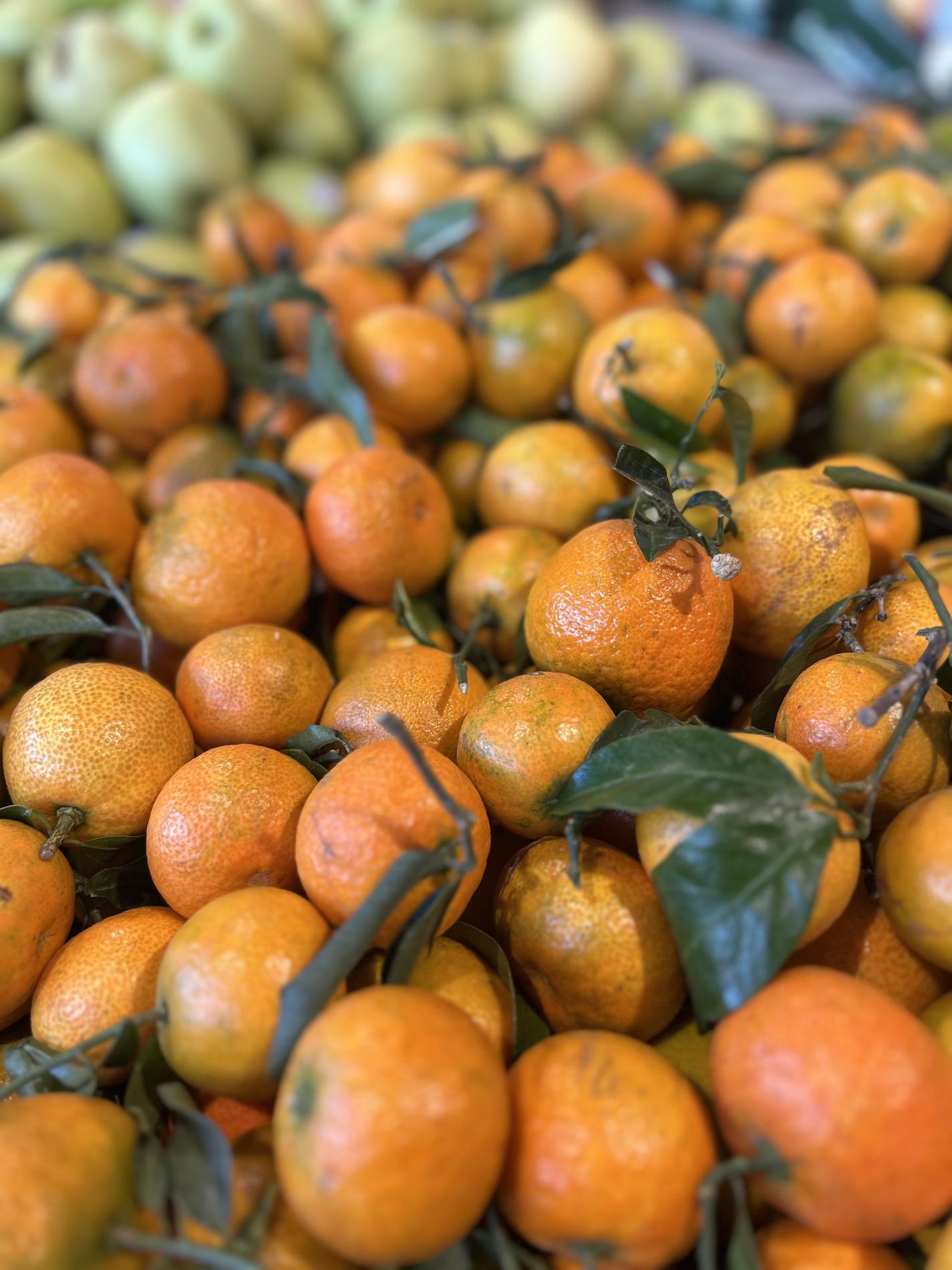 La cl&eacute;mentine Feuille Portugal est arriv&eacute;e !!