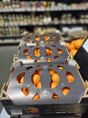 Les Pitoufos BERJKANE sont arrivés !!