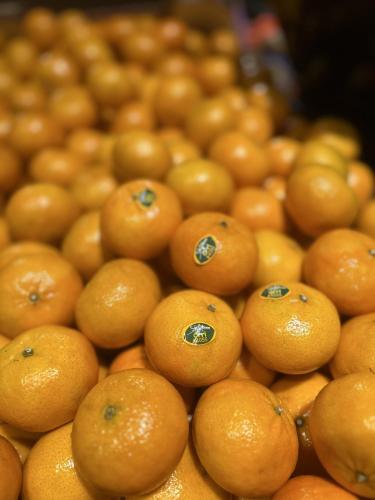 Arrivage Mandarine ORRI !!