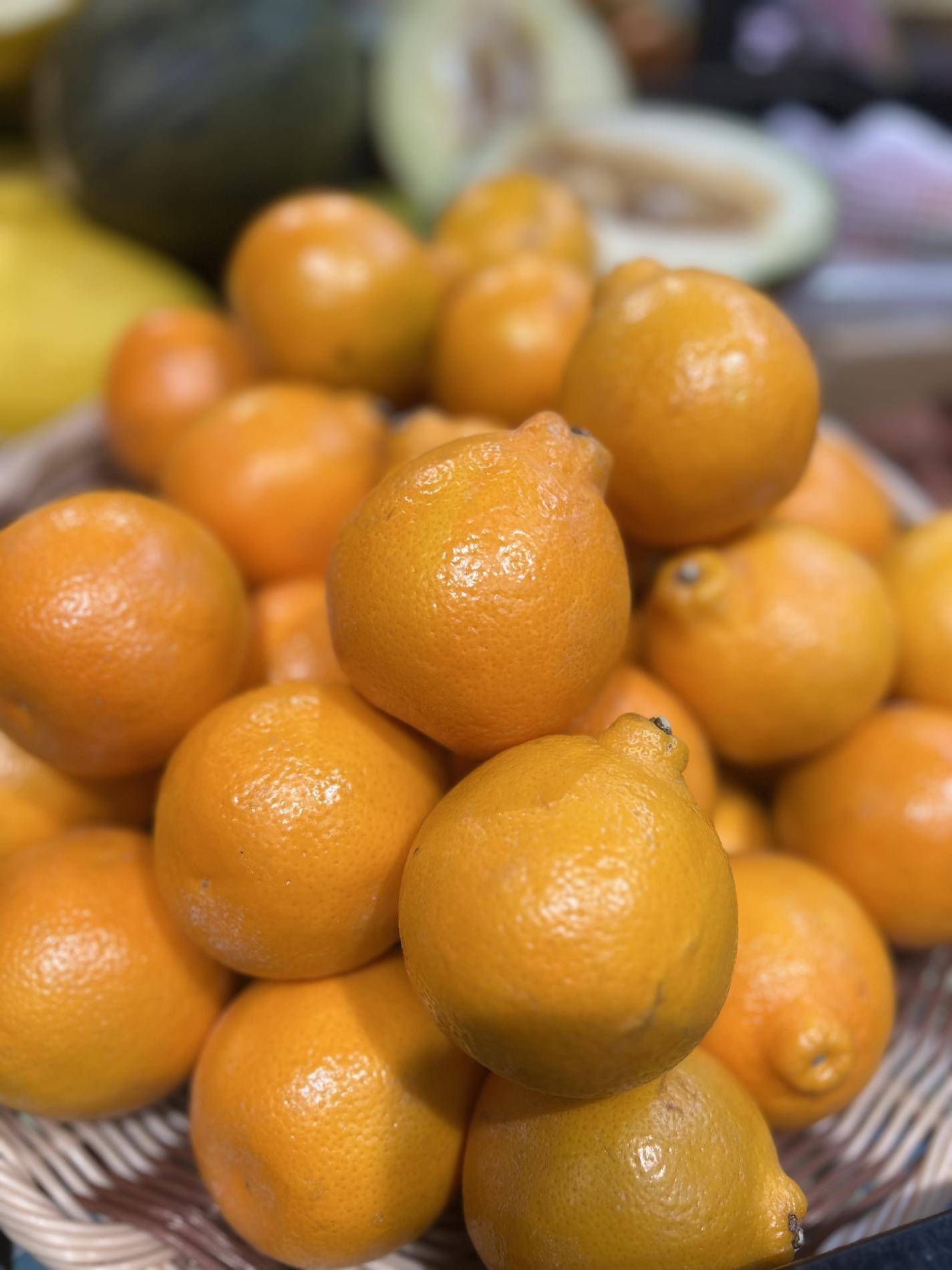 Venez découvrir le Mineola !!