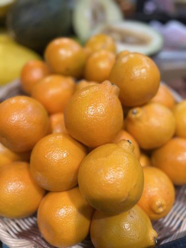 Venez découvrir le Mineola !!