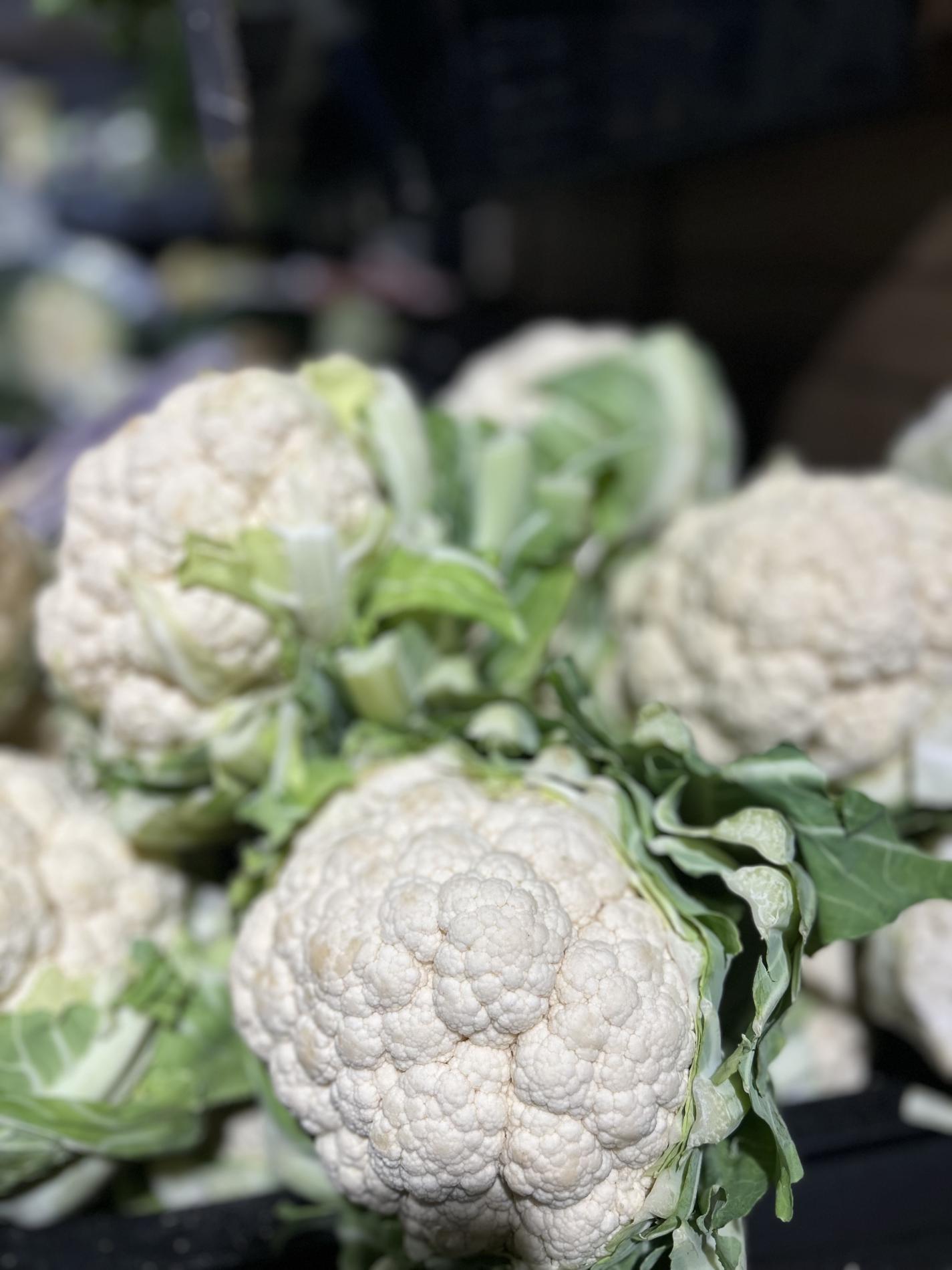 Venez découvrir nos PROMOS du moment !!