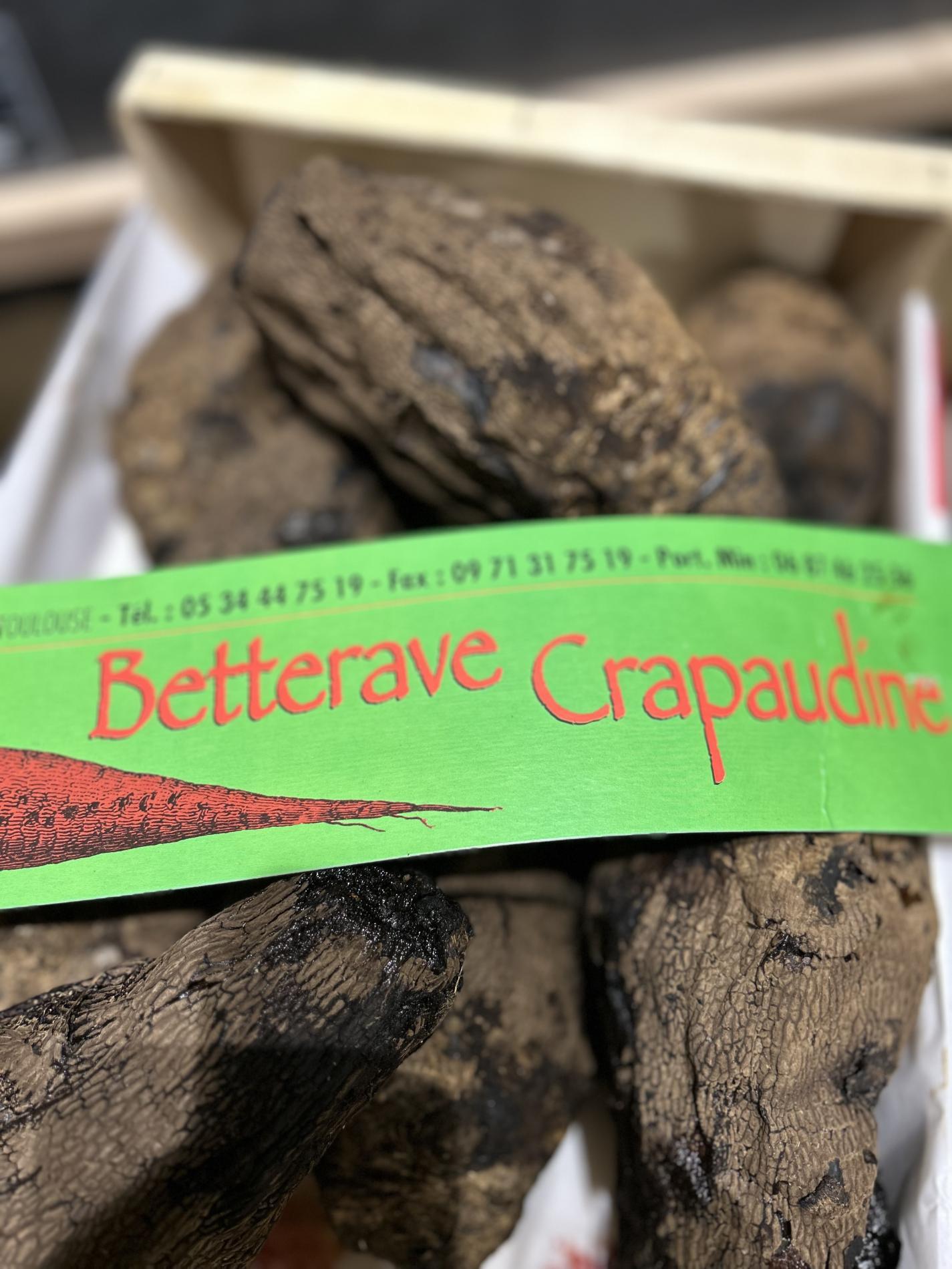 La saison de la Betterave Cuite CRAPAUDINE &agrave; d&eacute;marr&eacute; ce matin !!