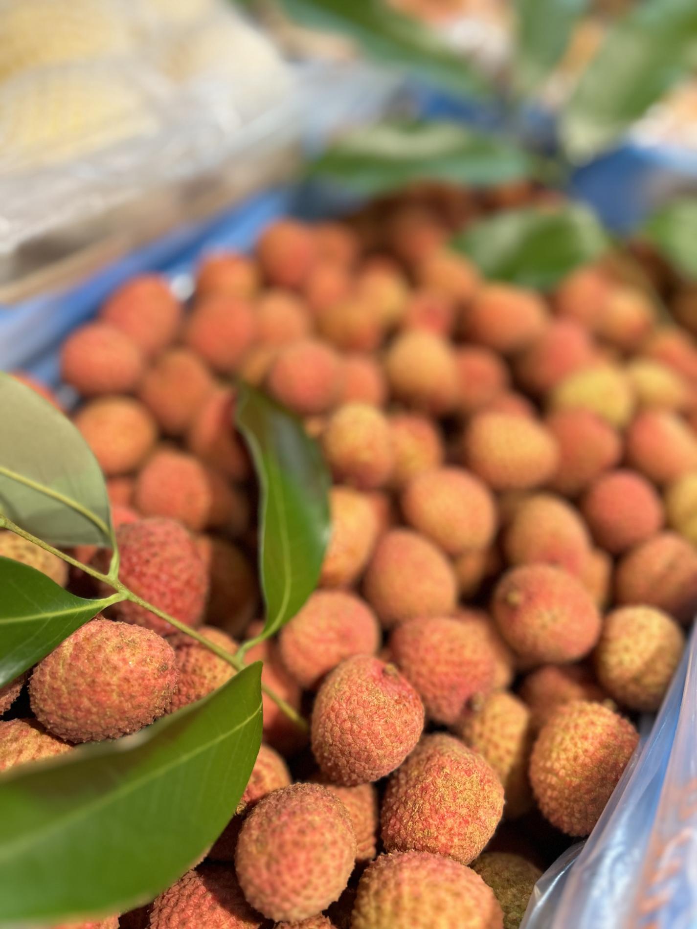 Arrivage des 1ers Litchi R&eacute;union !!