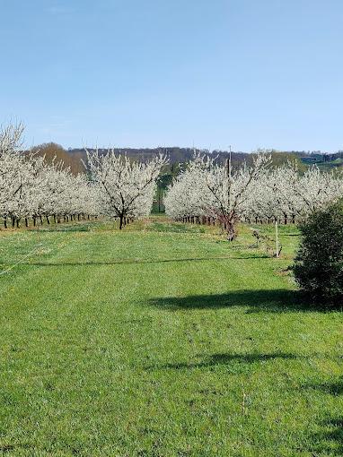 GAEC DE COMBE-LONGUE