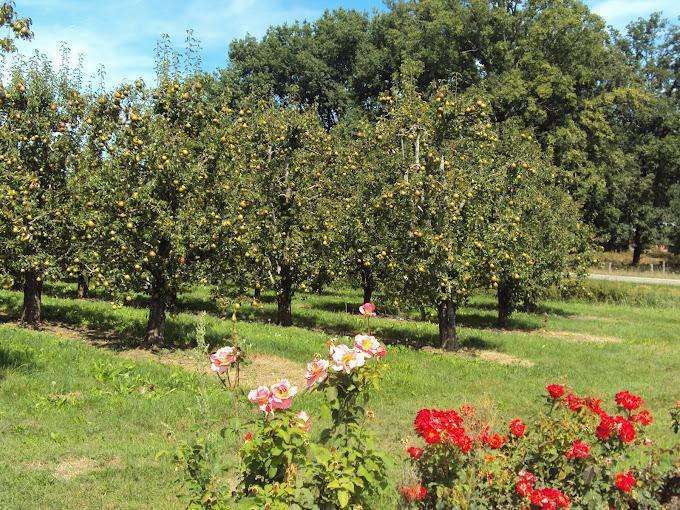 GAEC DE COMBE-LONGUE