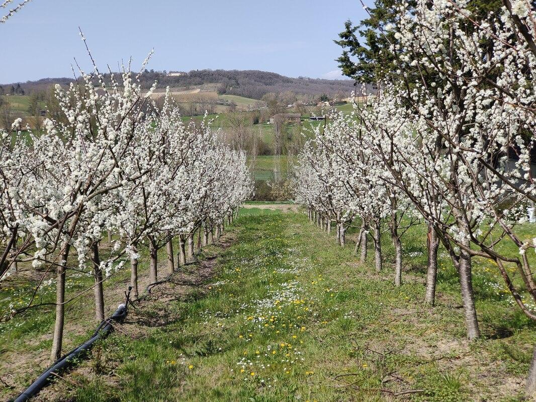 GAEC DE COMBE-LONGUE