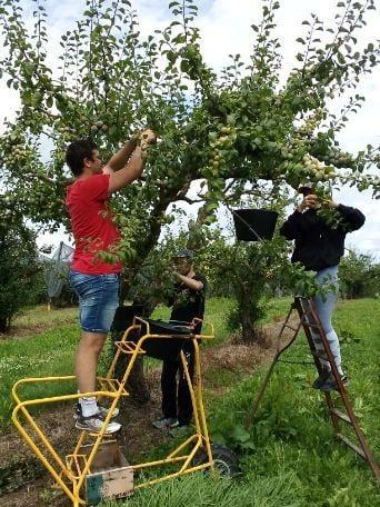 SARL SAVEURS D'ALIENOR