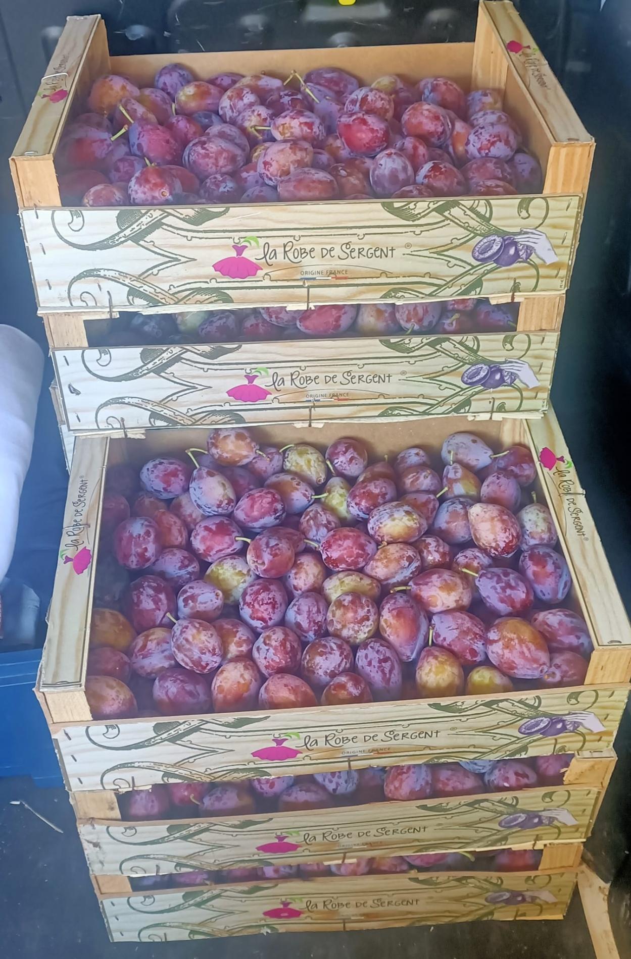 SARL SAVEURS D'ALIENOR